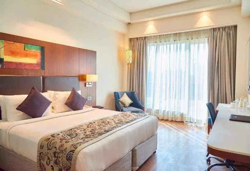 ホテル The P L Palace Agra