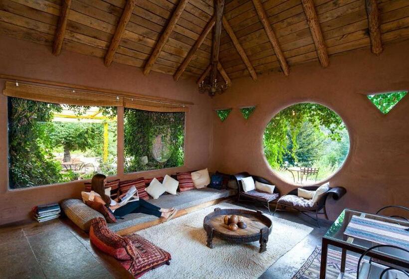 فندق Altiplanico Cajón Del Maipo