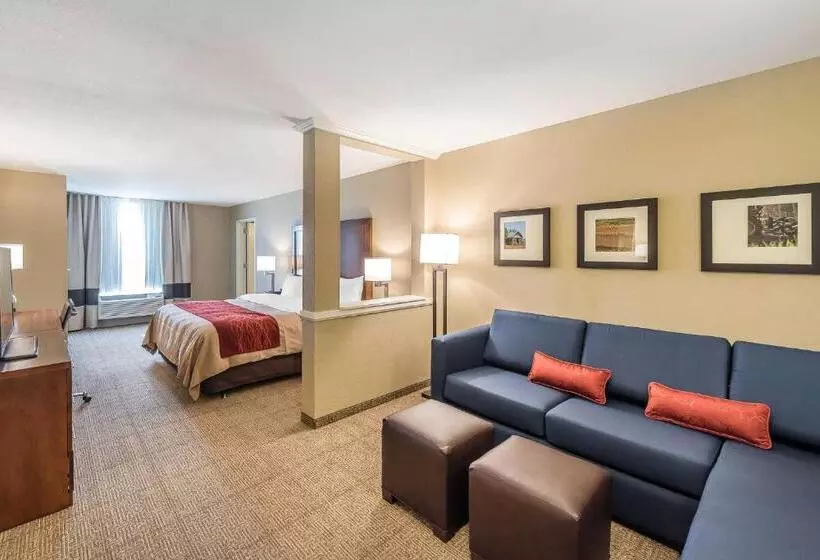 ホテル Comfort Inn & Suites Sidney I 80