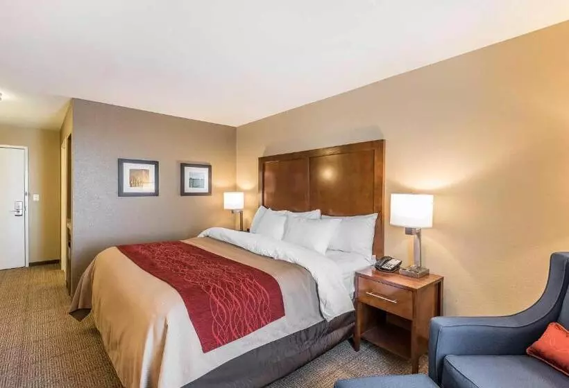 ホテル Comfort Inn & Suites Sidney I 80