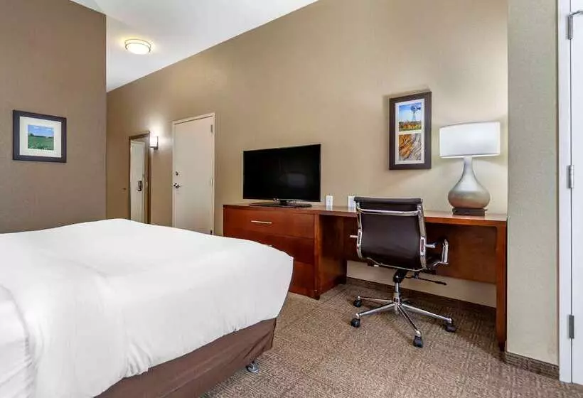 ホテル Comfort Inn & Suites Sidney I 80