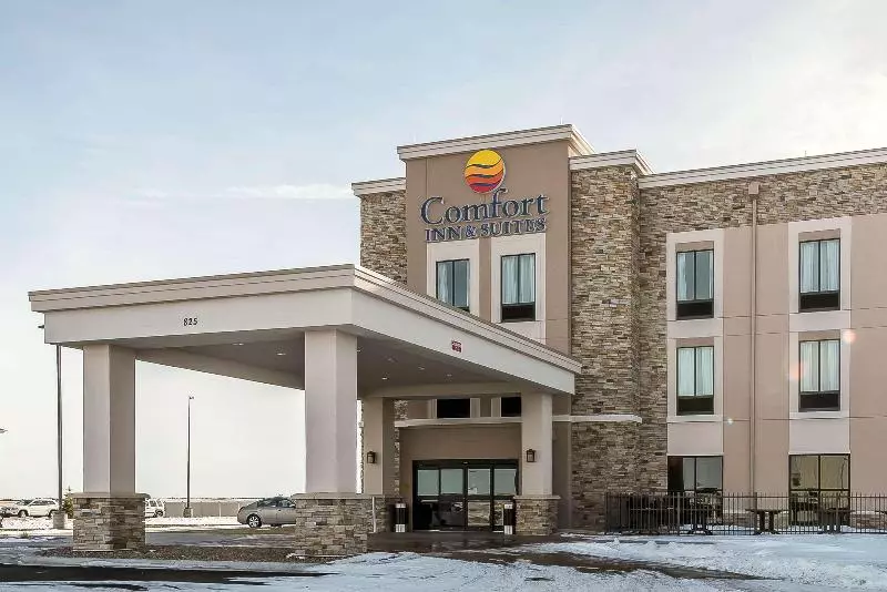 ホテル Comfort Inn & Suites Sidney I 80