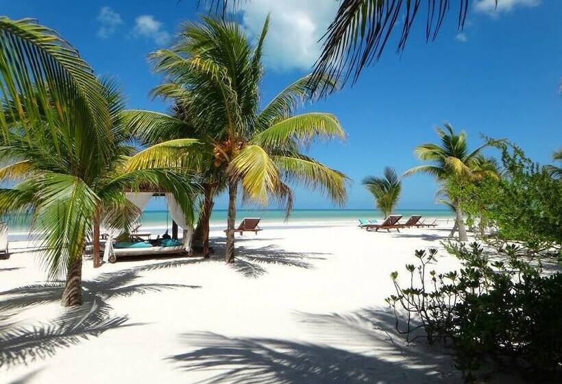 El Corazón Boutique Hotel   Adults Only With Beach Club S Pass Included