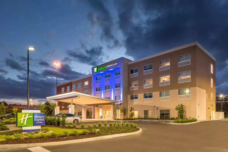 ホテル Holiday Inn Express & Suites   Tampa North   Wesley Chapel, An Ihg