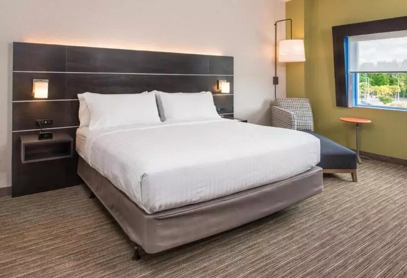 ホテル Holiday Inn Express & Suites   Tampa North   Wesley Chapel, An Ihg