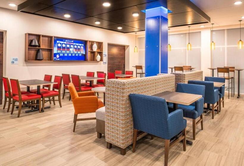 فندق Holiday Inn Express & Suites   Tampa North   Wesley Chapel, An Ihg