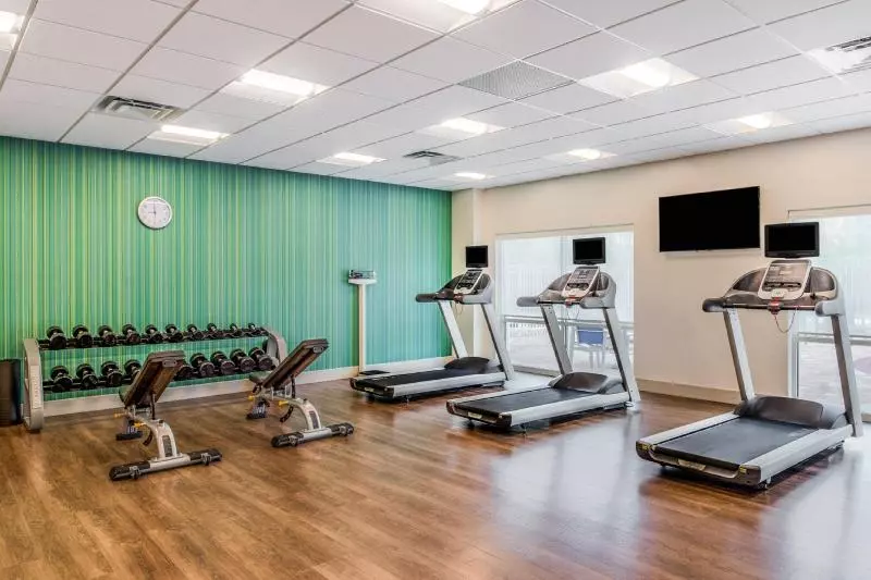 ホテル Holiday Inn Express & Suites   Tampa North   Wesley Chapel, An Ihg