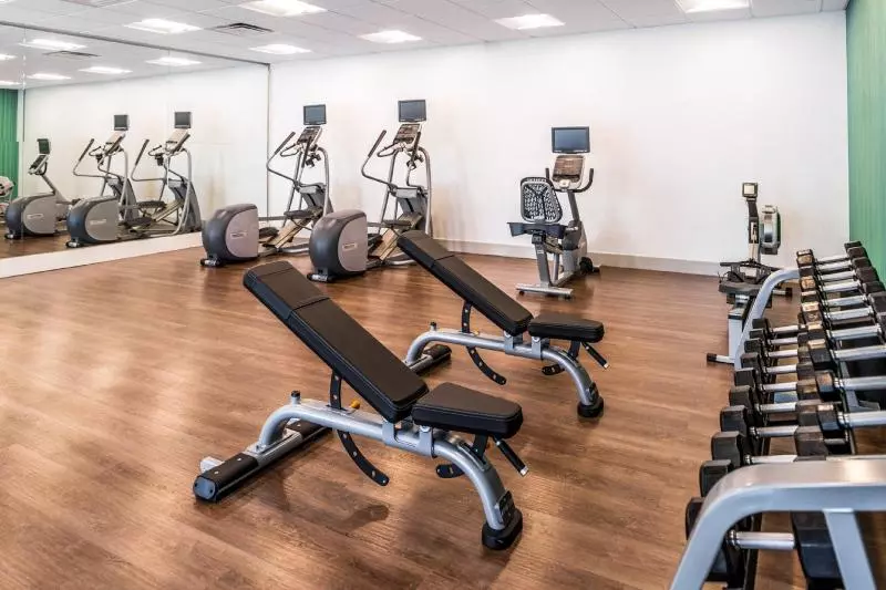 ホテル Holiday Inn Express & Suites   Tampa North   Wesley Chapel, An Ihg