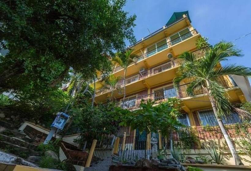 Отель Hostal Vallarta Suites