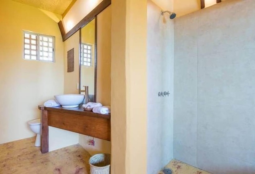 Отель Hostal Vallarta Suites
