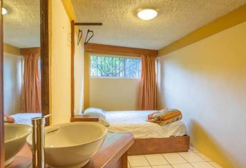 Отель Hostal Vallarta Suites