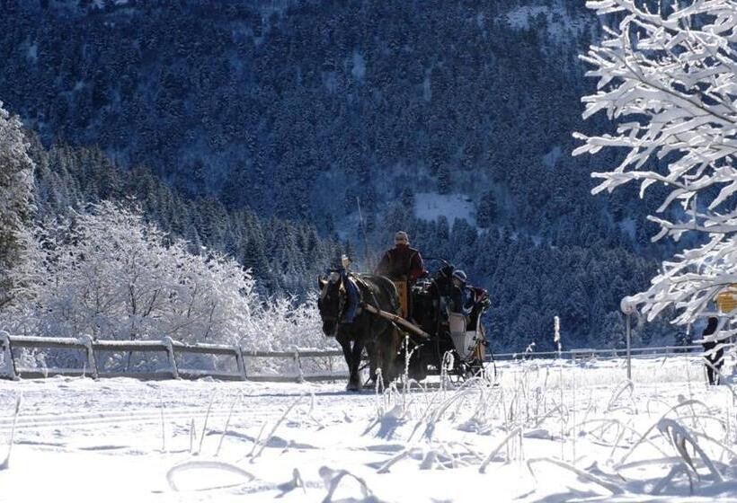 호텔 Hôtel L Hélios