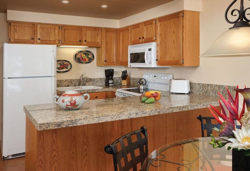 בית מלון כפרי La Paloma Beach&tennis Resort