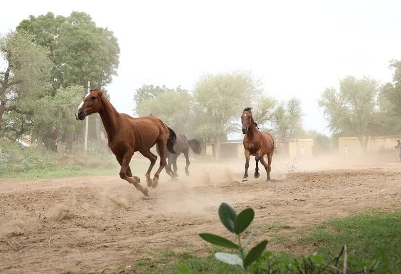 ホテル Roop Niwas Kothi