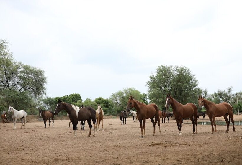 ホテル Roop Niwas Kothi