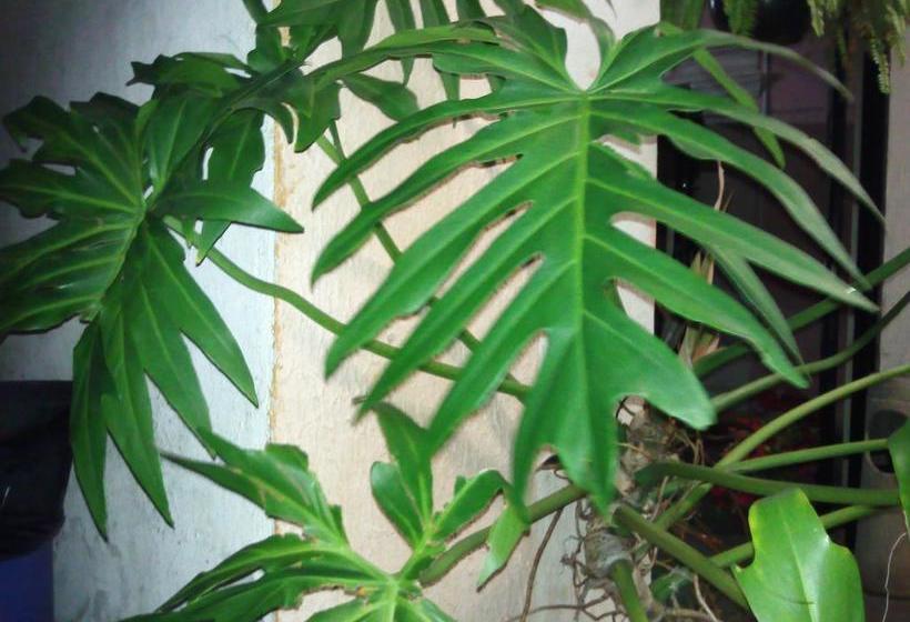 Hotel Tierra Del Sol