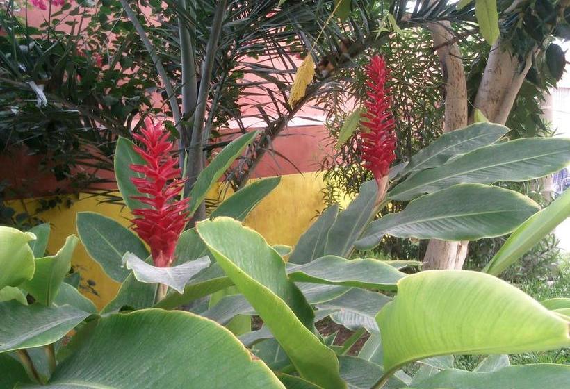 Hotel Tierra Del Sol