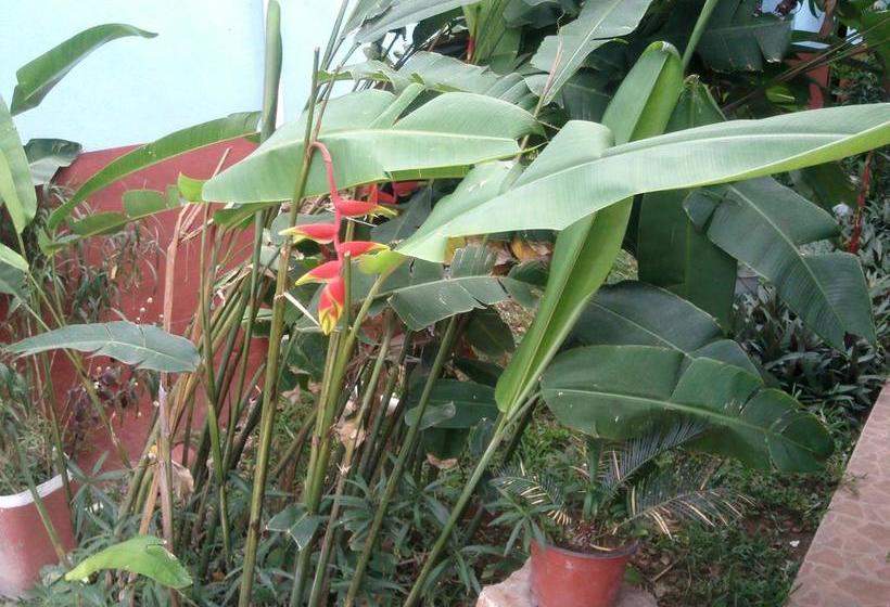 Hotel Tierra Del Sol