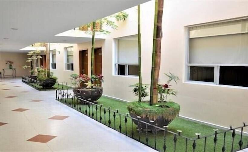 فندق Plaza Pachuca