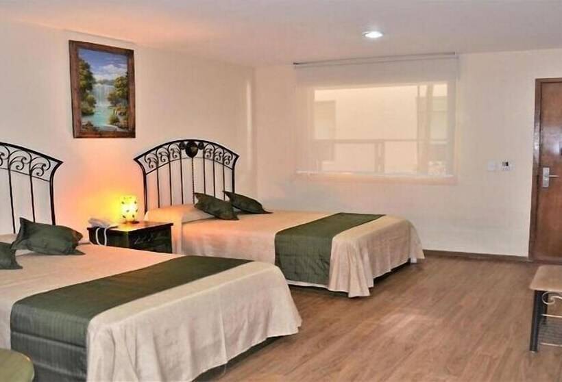 فندق Plaza Pachuca