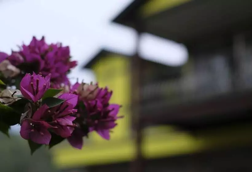 Sitou Peach Villa B&b