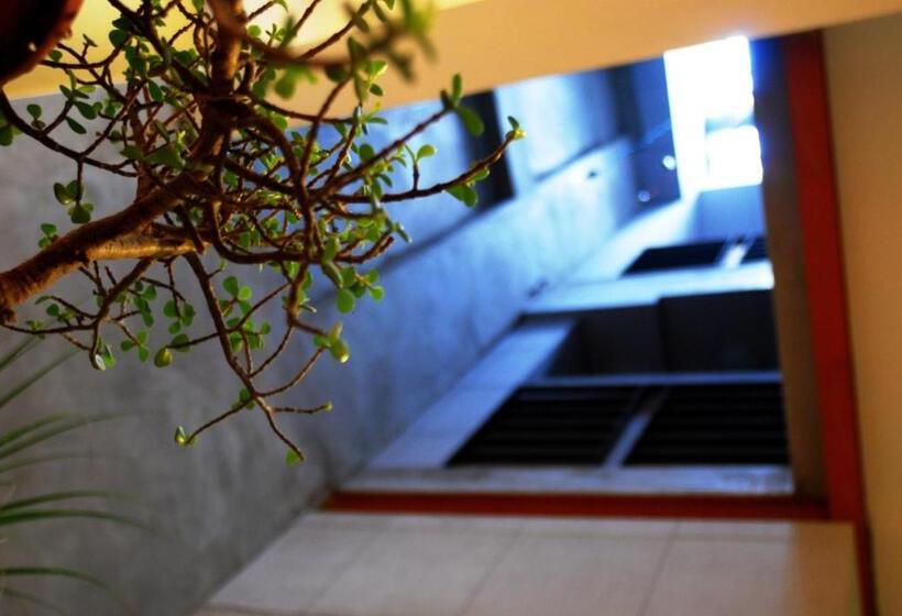 Center.center Hostel