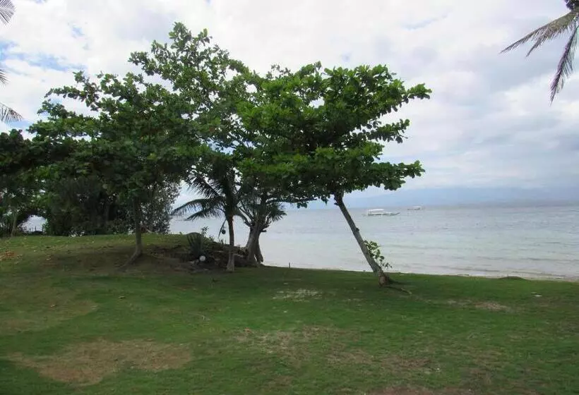 Dacozy Beach Resort