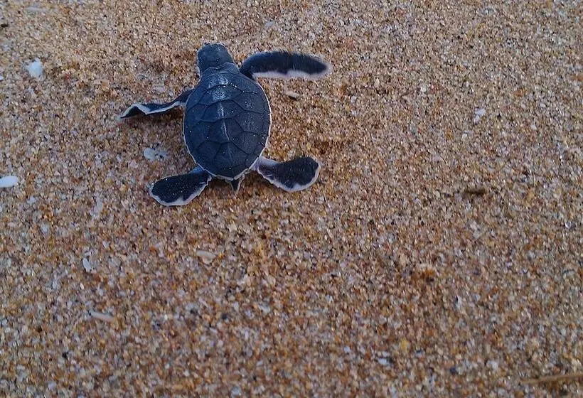 Hotelli Ananthaya Beach