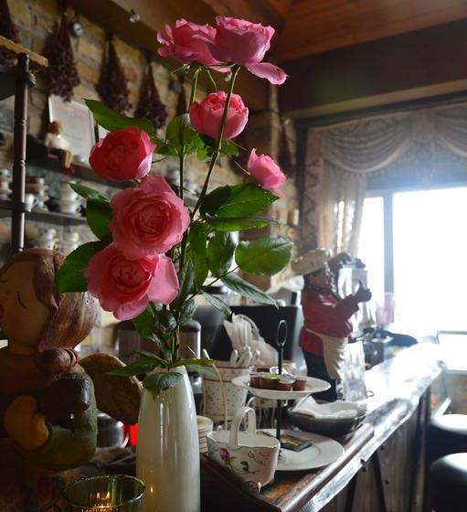 هتل European Manor