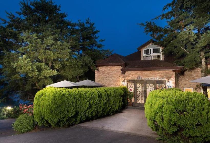 هتل European Manor