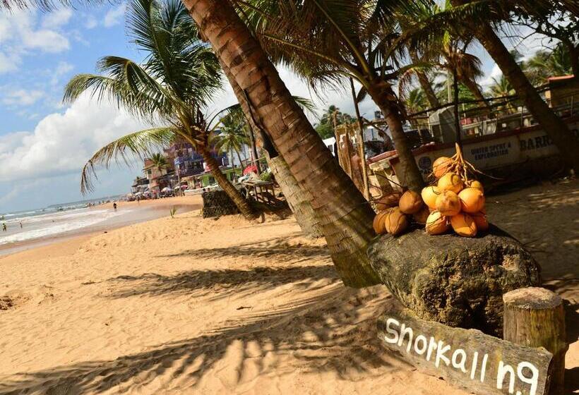 בית מלון כפרי Happy Tuna