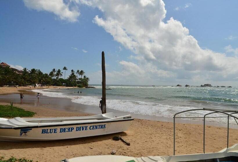 בית מלון כפרי Happy Tuna