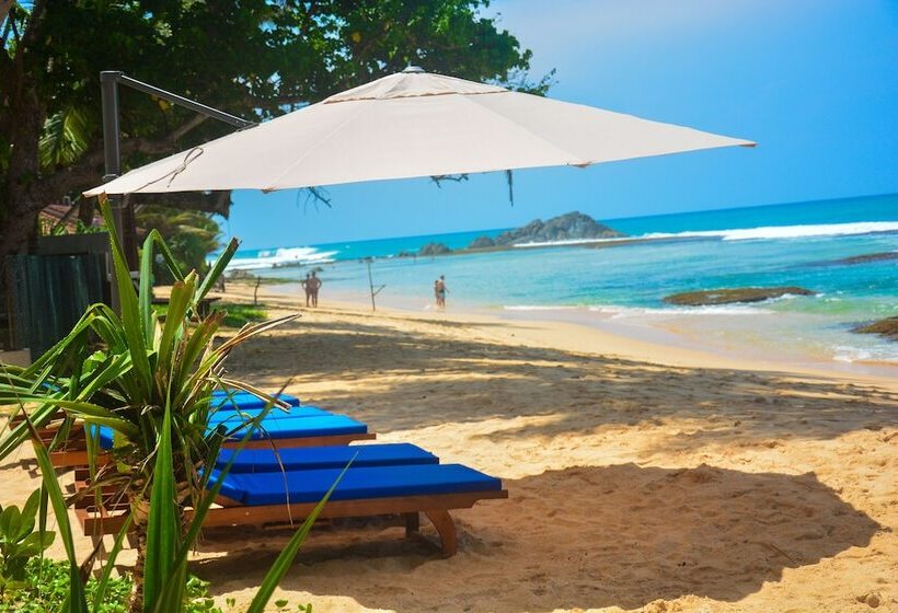 בית מלון כפרי Sayura Beach