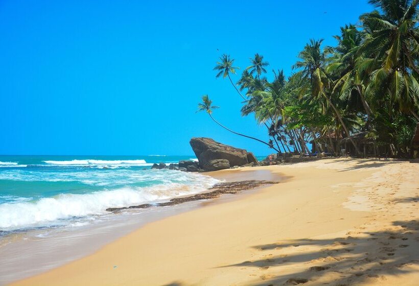 בית מלון כפרי Sayura Beach