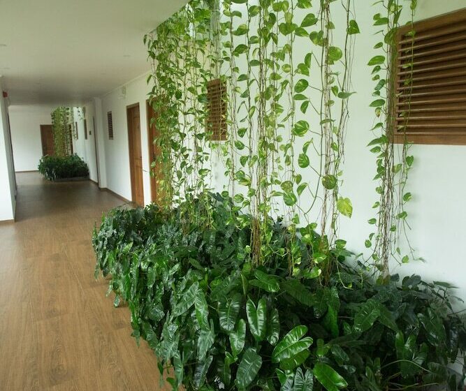 בית מלון כפרי Sayura Beach