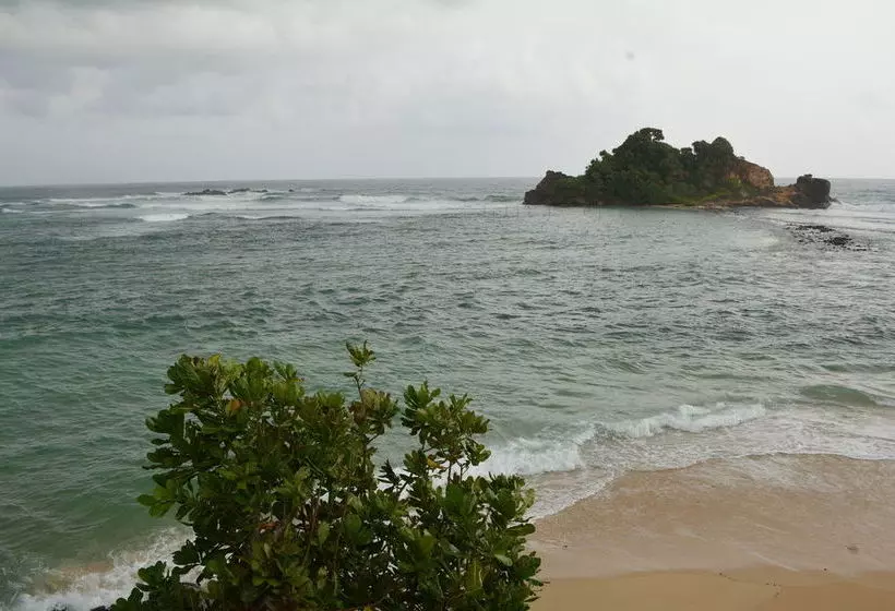 هتل Sayurima Tourist