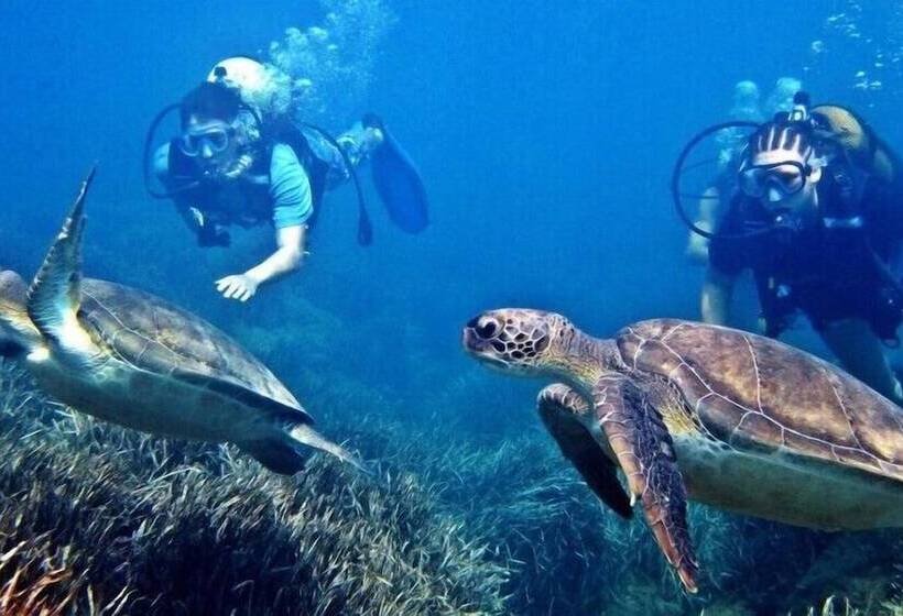 بنسيون Sea Song