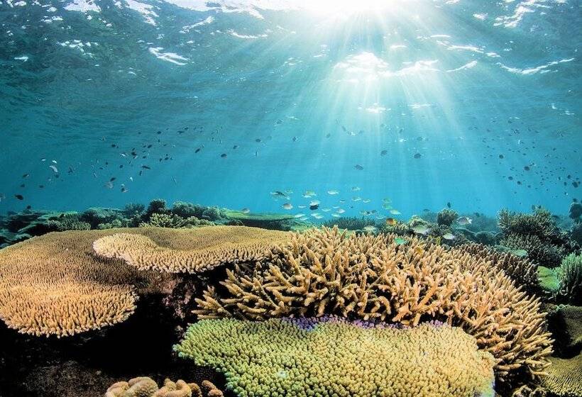 Barefoot Manta Island Resort