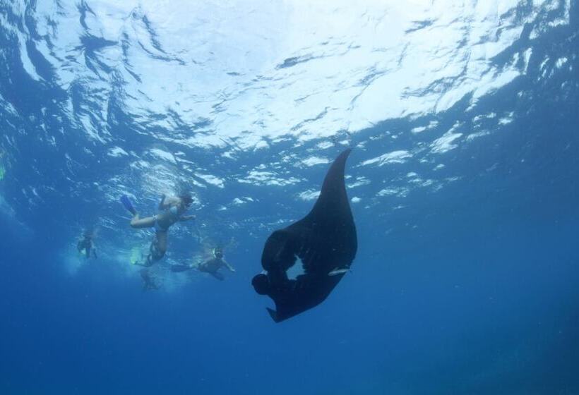 Barefoot Manta Island Resort