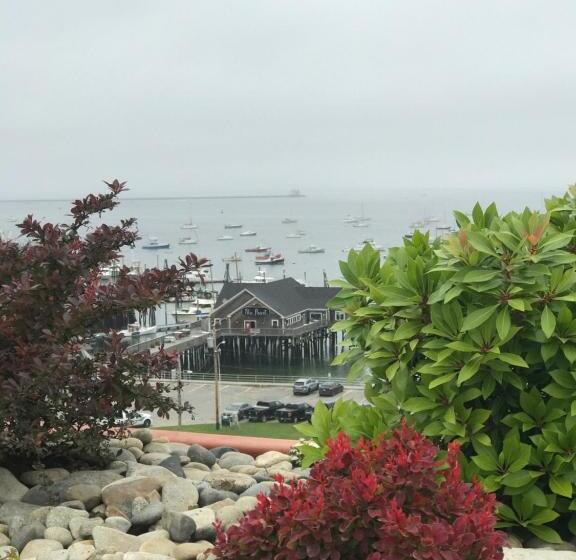 בית מלון כפרי 250 Main