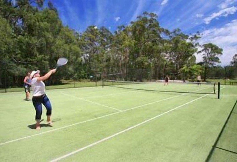 בית מלון כפרי Lorikeet Holiday Park