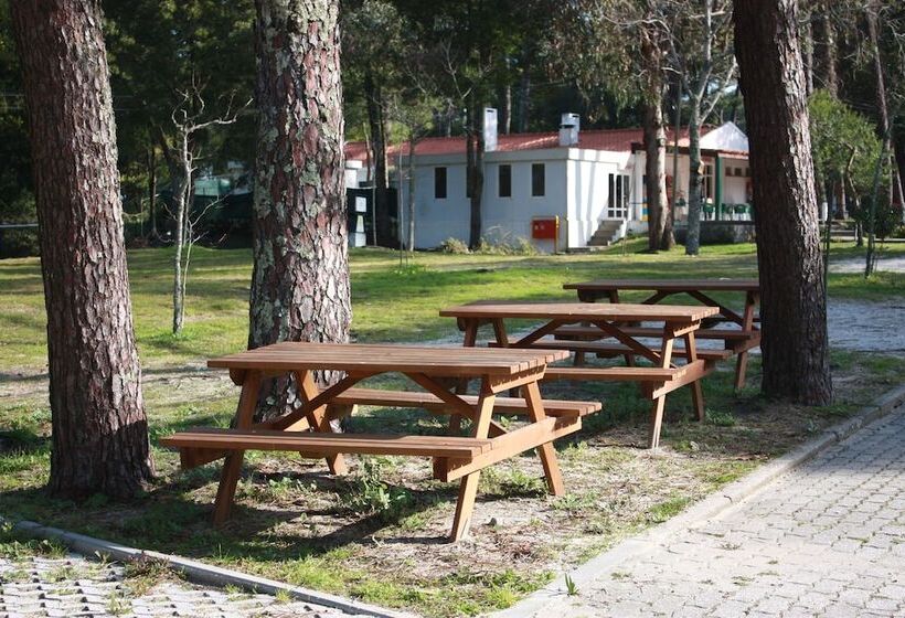 هتل Parque De Campismo Orbitur Caminha