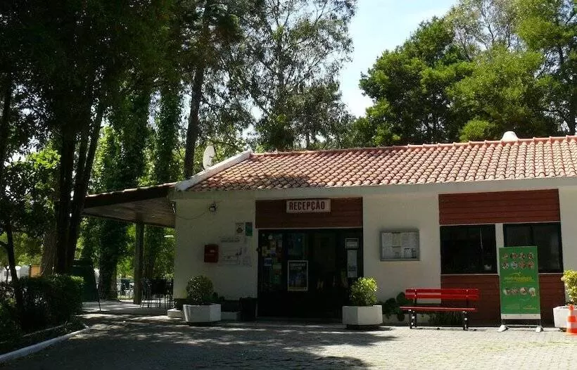 ホテル Parque De Campismo Orbitur Caminha