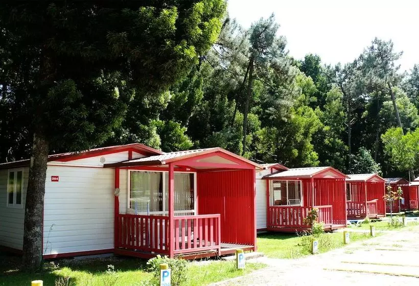 ホテル Parque De Campismo Orbitur Caminha