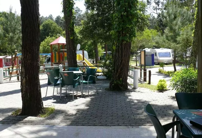 ホテル Parque De Campismo Orbitur Caminha