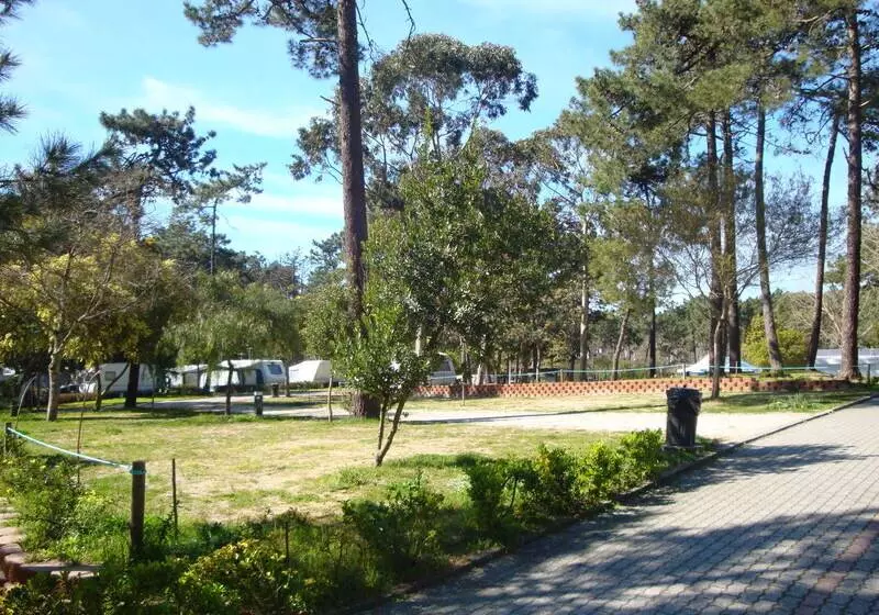 ホテル Parque De Campismo Orbitur Caminha