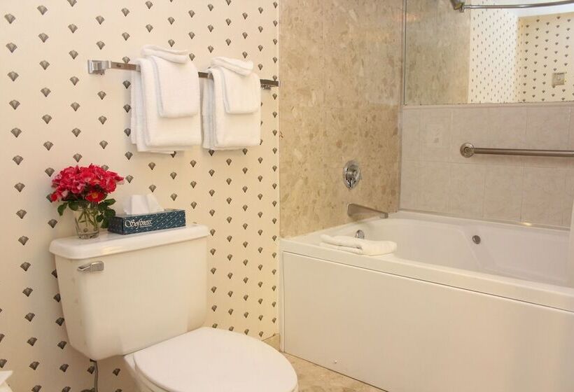 ホテル Wellington Resort