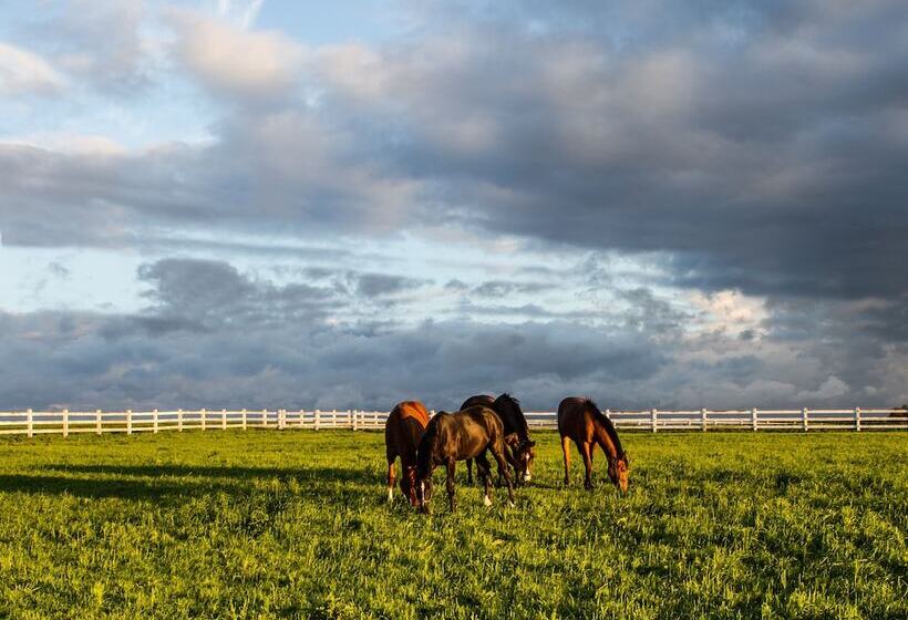 Pałac Ciekocinko Hotel Resort & Wellness
