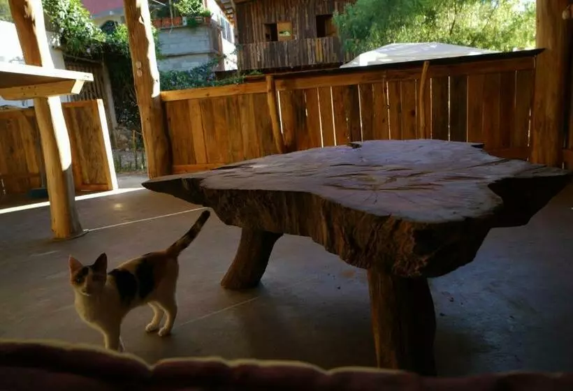 هاستل Casa Madera