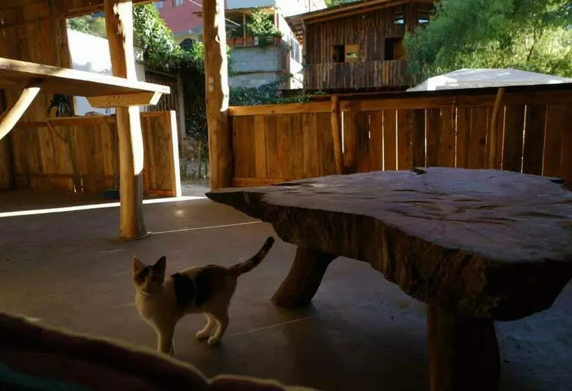 هاستل Casa Madera